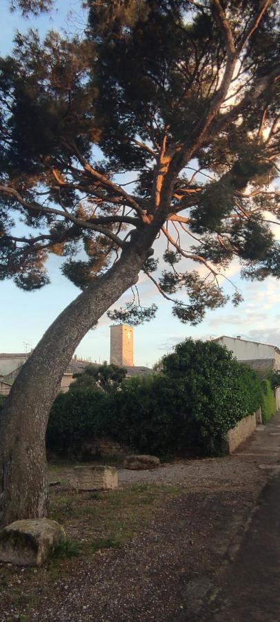 Villa Fontilha Usclas-l'Herault 외부 사진